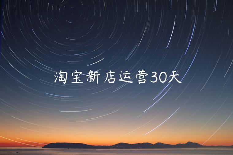 淘寶新店運營30天